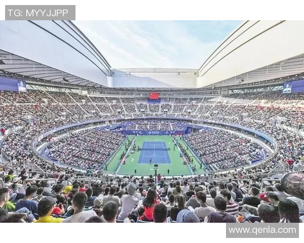 武汉网球队强势崛起最新网球状态TOP10全面解析