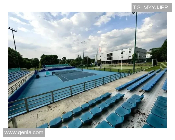 成都网球队运营模式解析与发展策略探讨