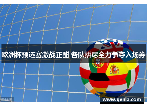 欧洲杯预选赛激战正酣 各队拼尽全力争夺入场券